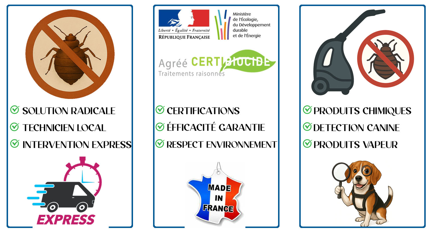 Punaises de Lit Bonneuil sur Marne